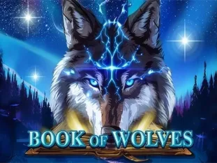 Book Of Wolves game thumbnail